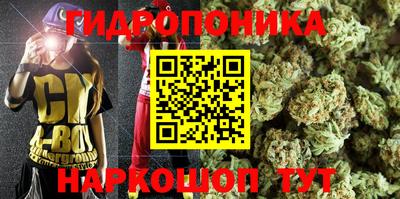 ГАЛЛЮЦИНОГЕННЫЕ ГРИБЫ Апшеронск