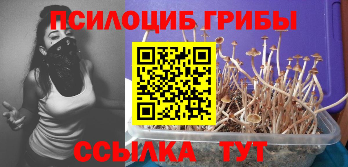 Псилоцибиновые грибы ЛСД  Вход с VPN  Псилоцибиновые грибы GOLDEN TEACHER  Вязьма 