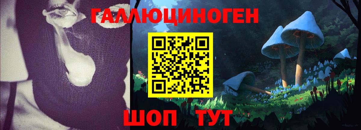 Псилоцибиновые грибы Вязьма