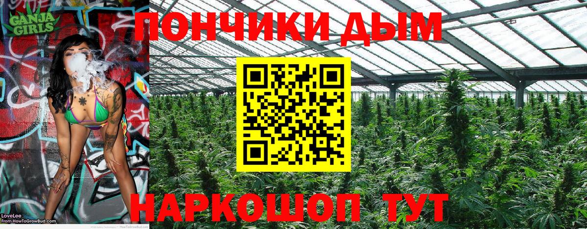 Бошки марихуана тримм  Конопля конопля  Каннабис VHQ  Вход с VPN  Вязьма  Каннабис индика 